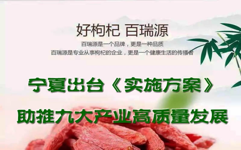 寧夏出臺《實(shí)施方案》助推九大產(chǎn)業(yè)高質(zhì)量發(fā)展